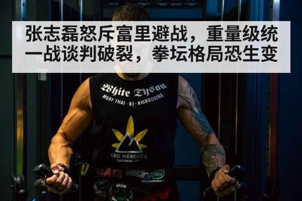 Tyson Fury boxing